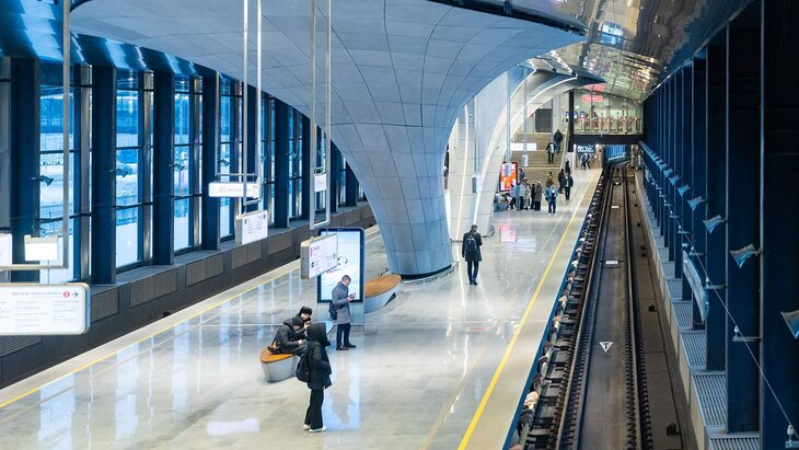 Москвичей призвали пересесть на метро до конца недели из-за снегопада