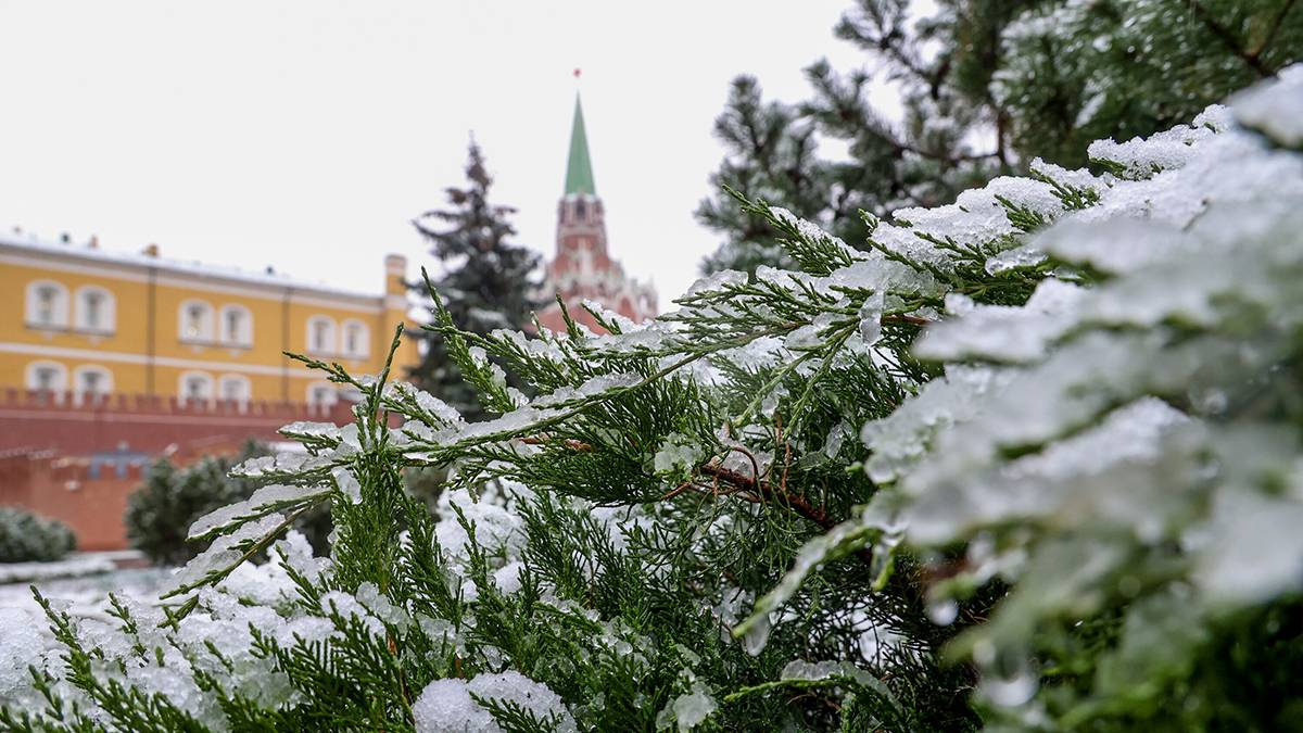 Снежный покров в Москве в ближайшие пять дней уменьшится до 17–20 см