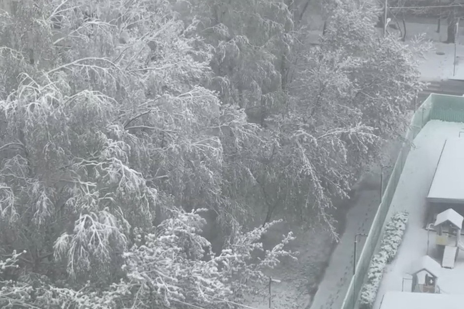 Апрельские снегопады в столице прекратятся к праздникам
